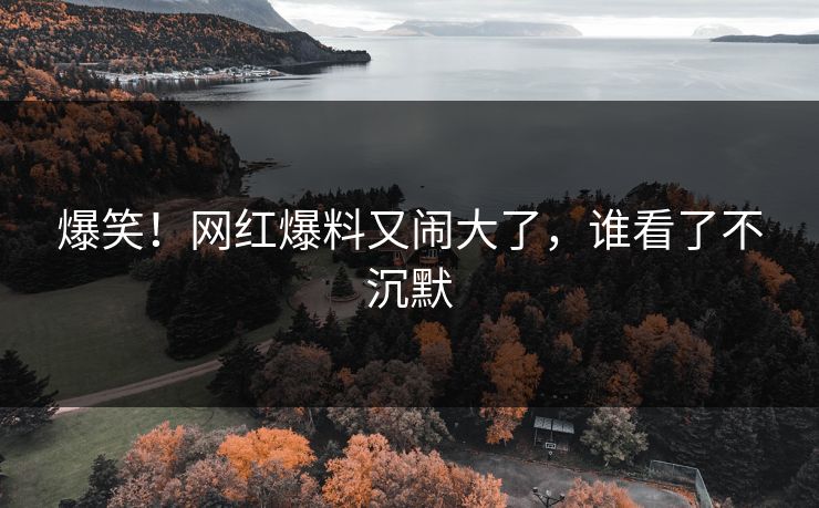 爆笑！网红爆料又闹大了，谁看了不沉默
