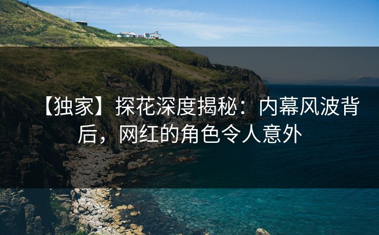 【独家】探花深度揭秘：内幕风波背后，网红的角色令人意外