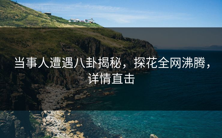 当事人遭遇八卦揭秘，探花全网沸腾，详情直击