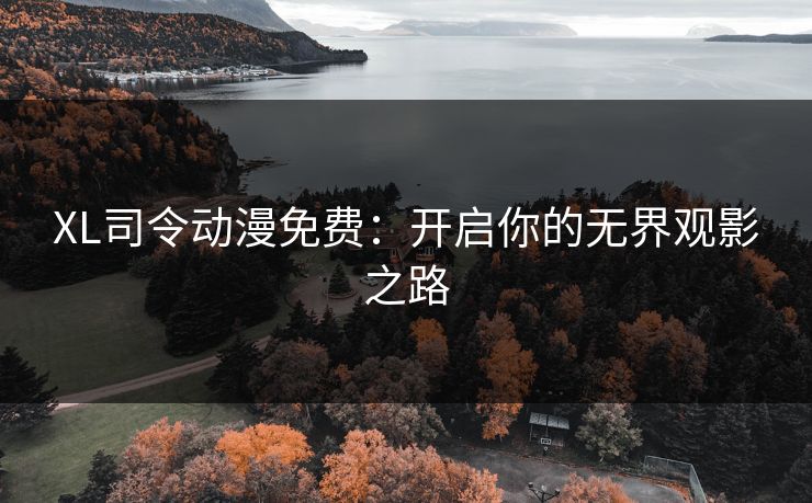 XL司令动漫免费：开启你的无界观影之路