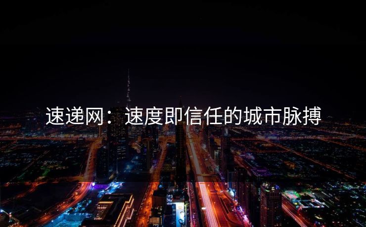 速递网：速度即信任的城市脉搏