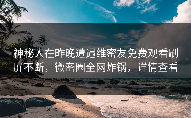 神秘人在昨晚遭遇维密友免费观看刷屏不断，微密圈全网炸锅，详情查看